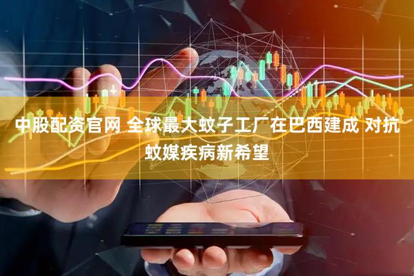 中股配资官网 全球最大蚊子工厂在巴西建成 对抗蚊媒疾病新希望